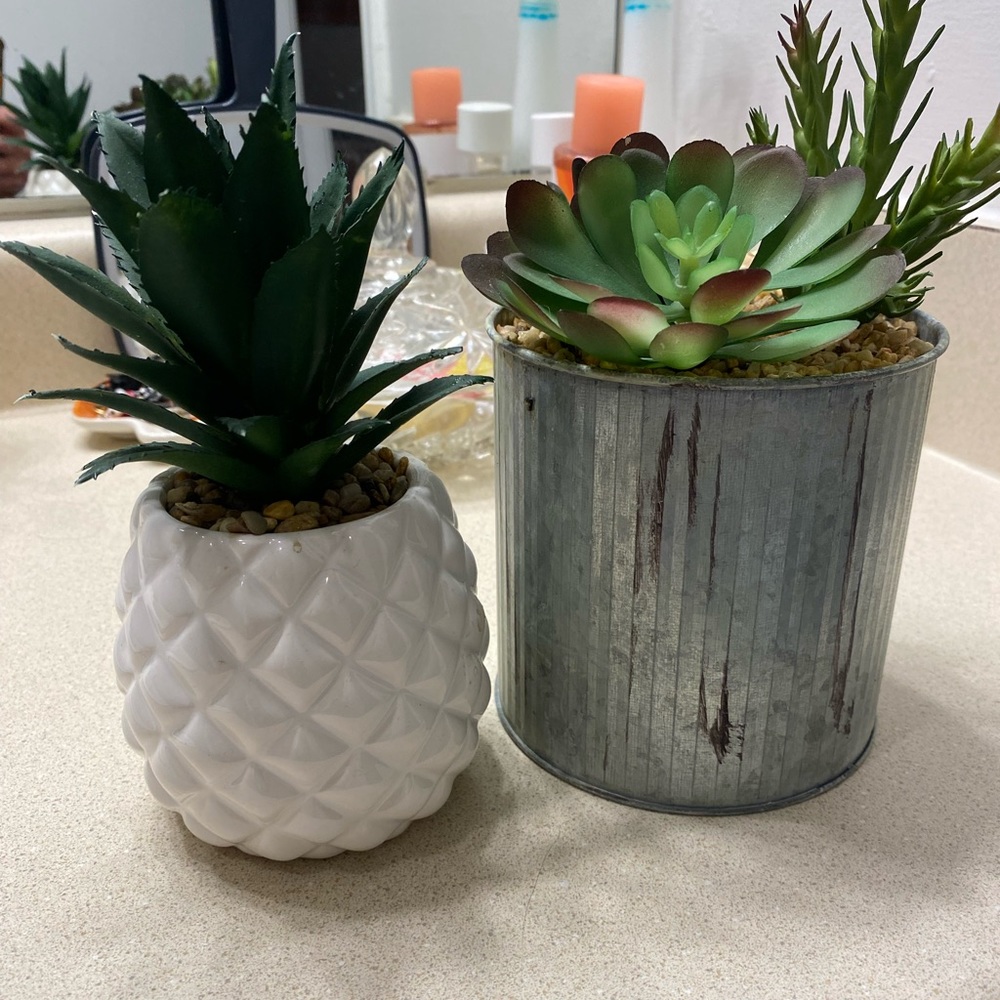 Fake plants